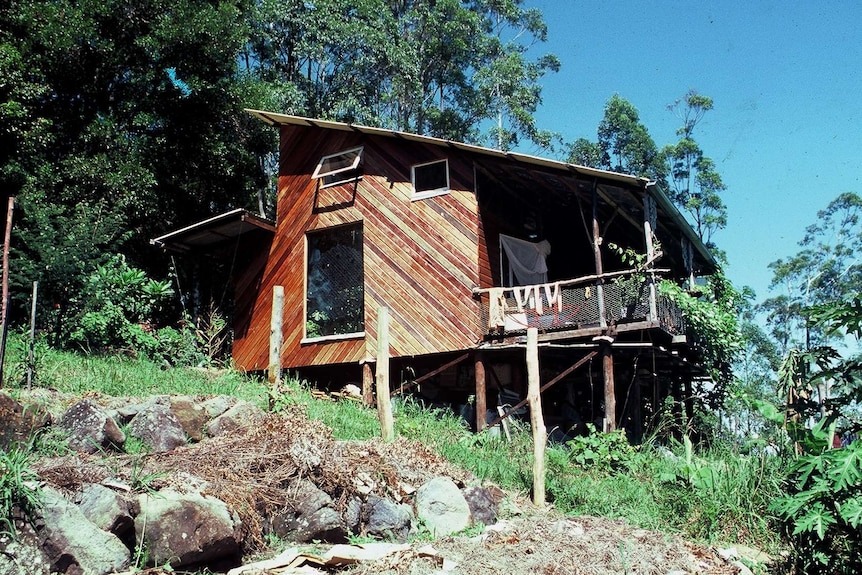 A timber-clad home nestled in a bushy hillside under blue skies.