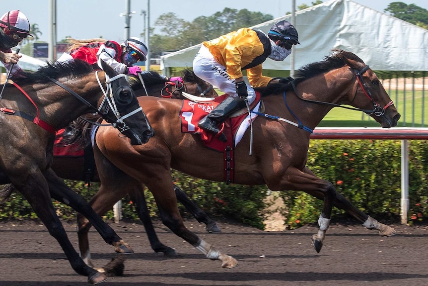 Horses racing at the Darwin races.