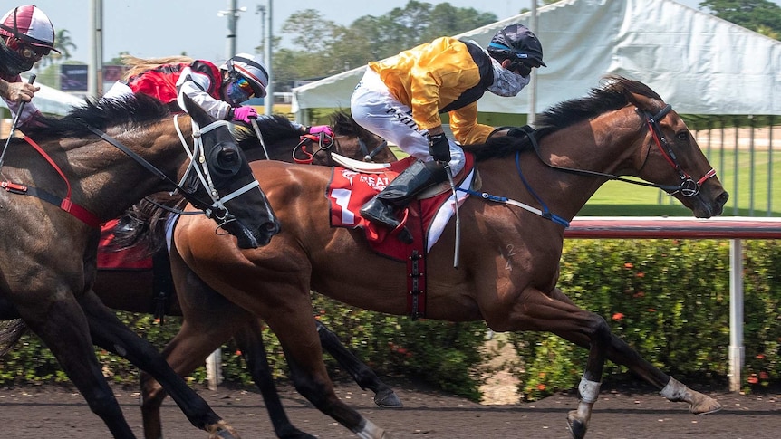 Horses racing at the Darwin races.