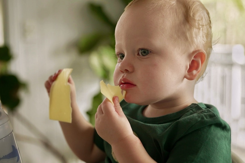 toddler eating cheese