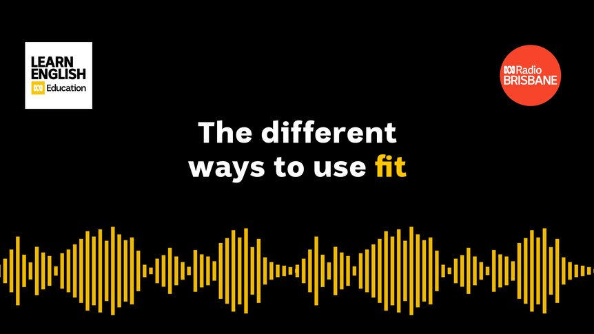 The different ways to use fit