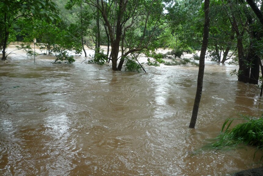 Water rushes down the the flooded Barron River