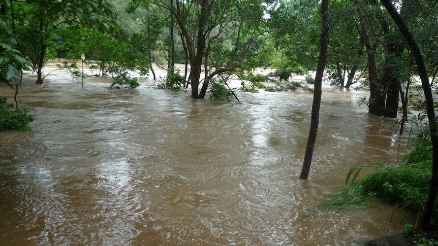Water rushes down the the flooded Barron River