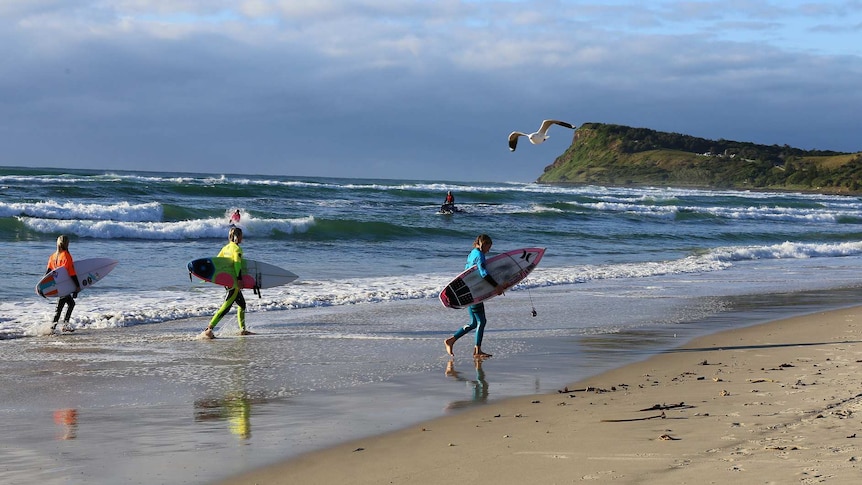 Surfers at Lennox Head