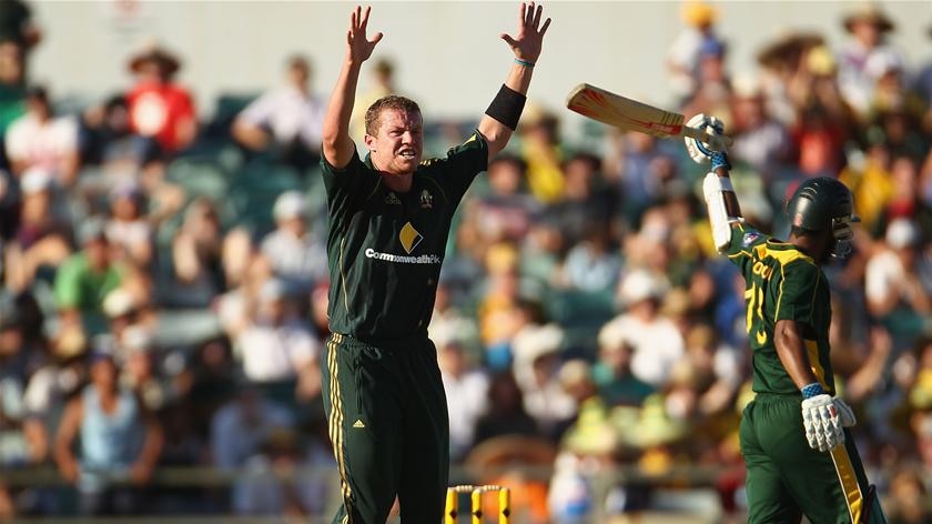 On  top ...Peter Siddle shows his joy after taking the wicket of Mohammad Yousuf