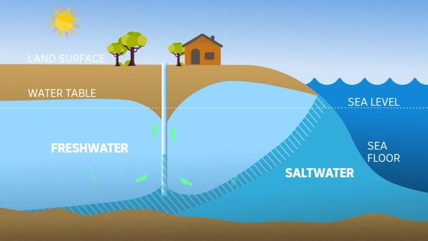 How the sea can contaminate groundwater bores
