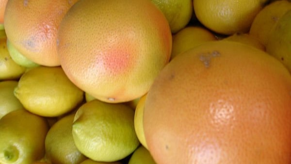Grapefruit and lemons piled together.