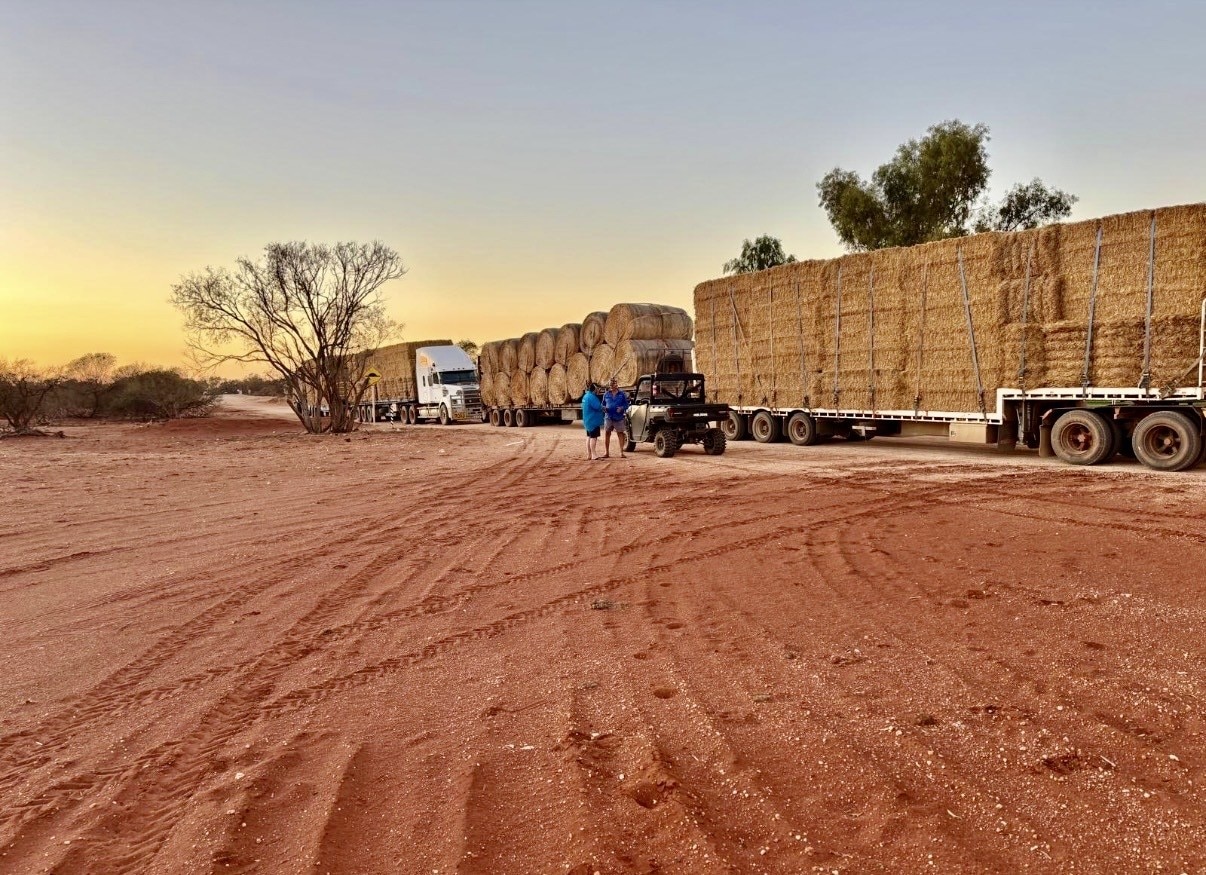Drought-hit pastoralists plead for funds to move hay stockpiled 1,000km away