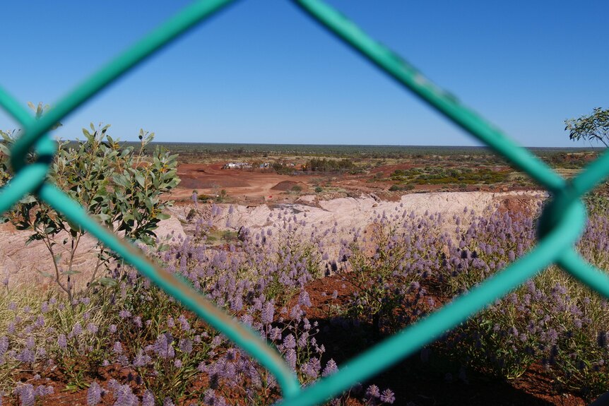 A green diagonal fence hole frames the mining operations happening in the red dirt down below at Nobles Nob.