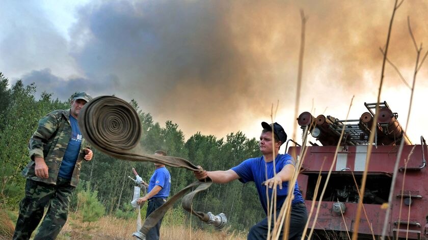 Russian firefighters prepare to extinguish a fire at a forest near the village of Tokhushevo