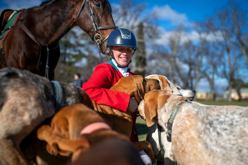Surrounded by hounds, a woman in a red blazer and black helmet grins while sitting below her chocolate-brown horse.
