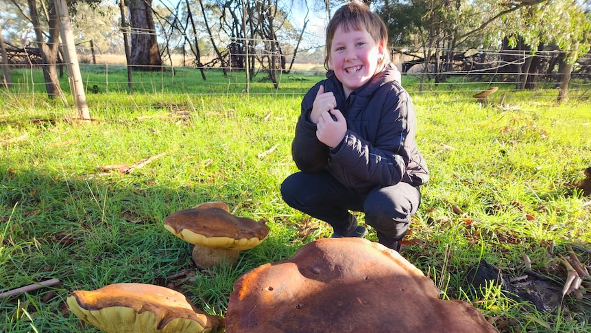  Child dressed in black with large brown mushrooms