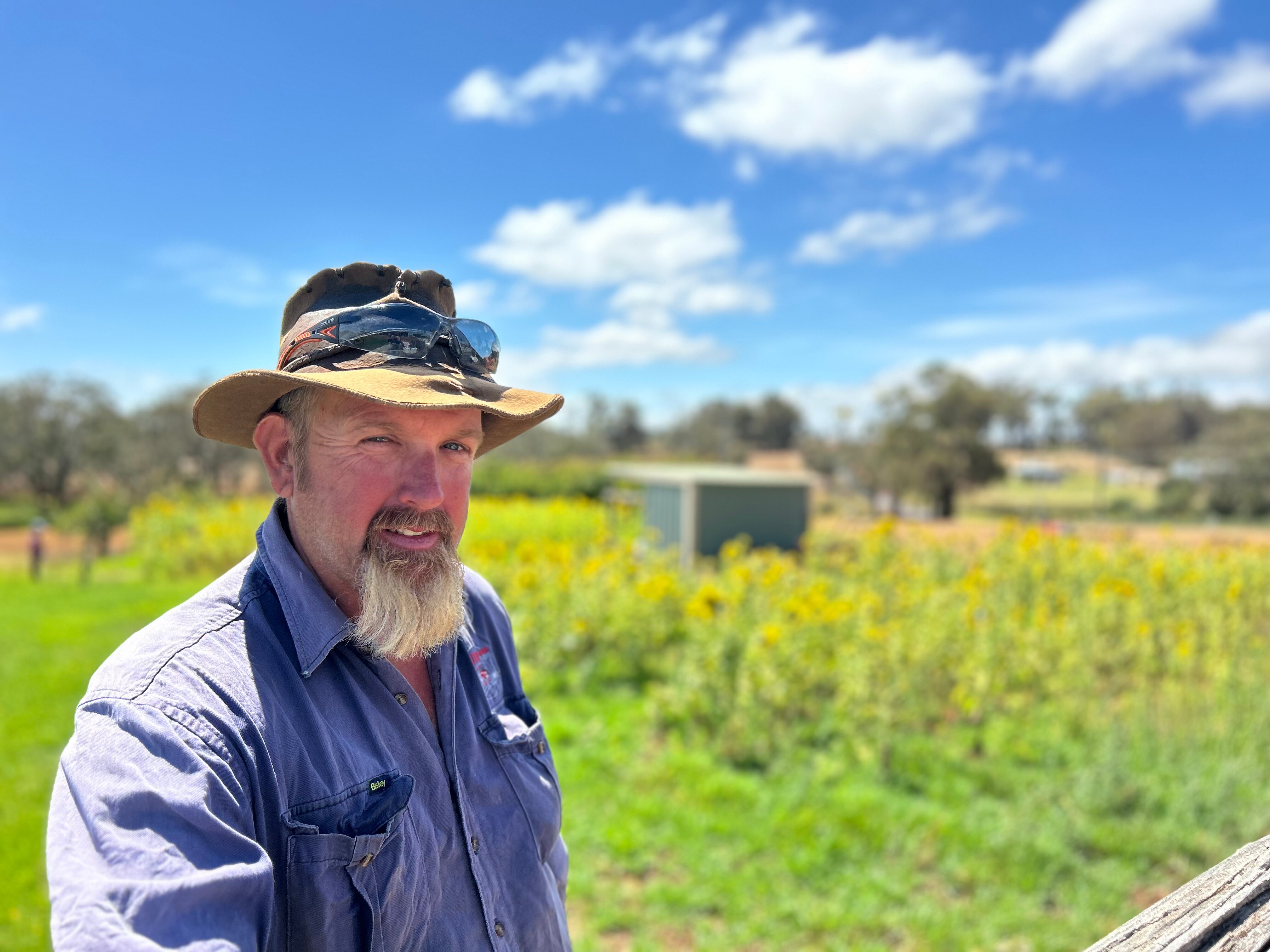 Serious man, long greying goatee beard, hat, glasses on top, blue shirt, stands in a farm with yellow flowers behind, blue sky.