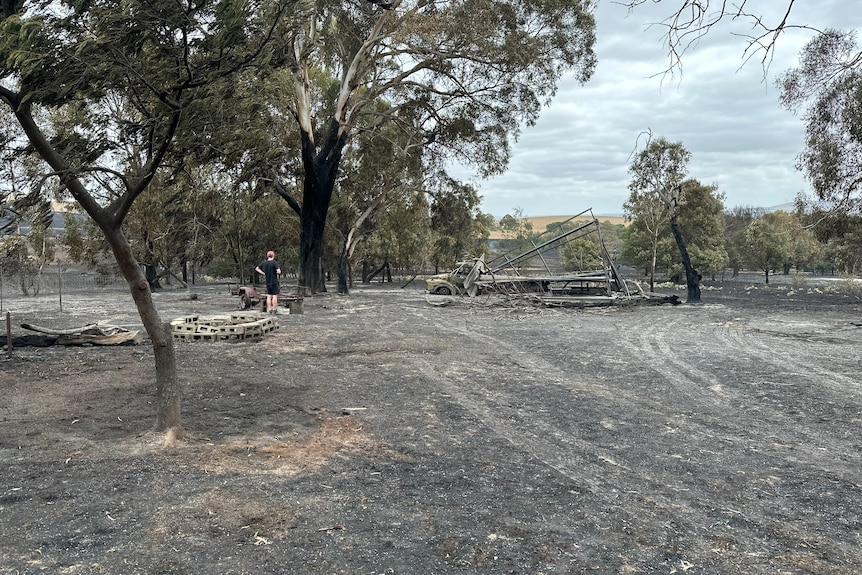 The aftermath of a bushfire, showing levelled ground and unidentifiable metal ruins.
