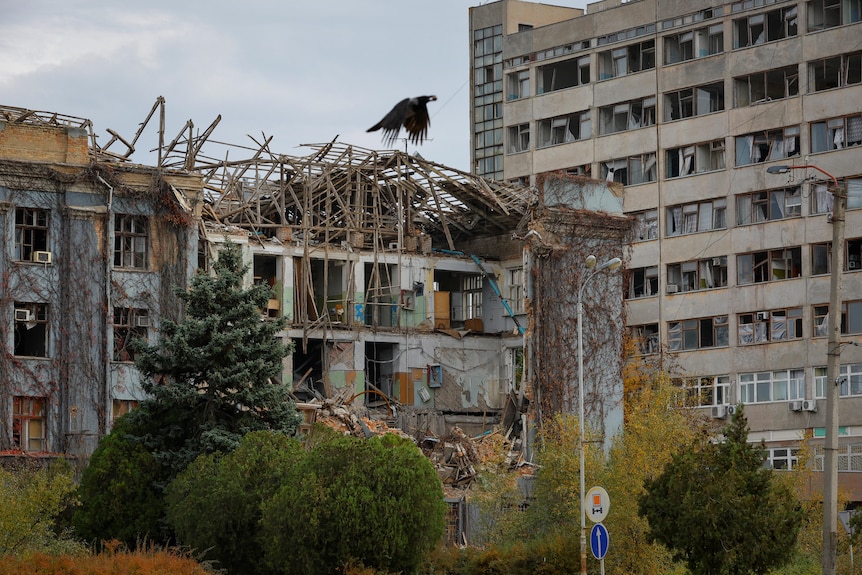 Bird flies in front of damaged buildings.