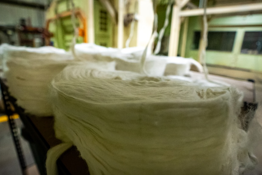 Raw washed cotton ready to be spun and woven.