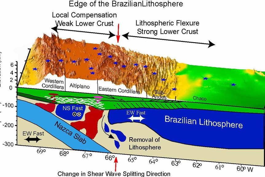 Brazilian Lithosphere showing budding