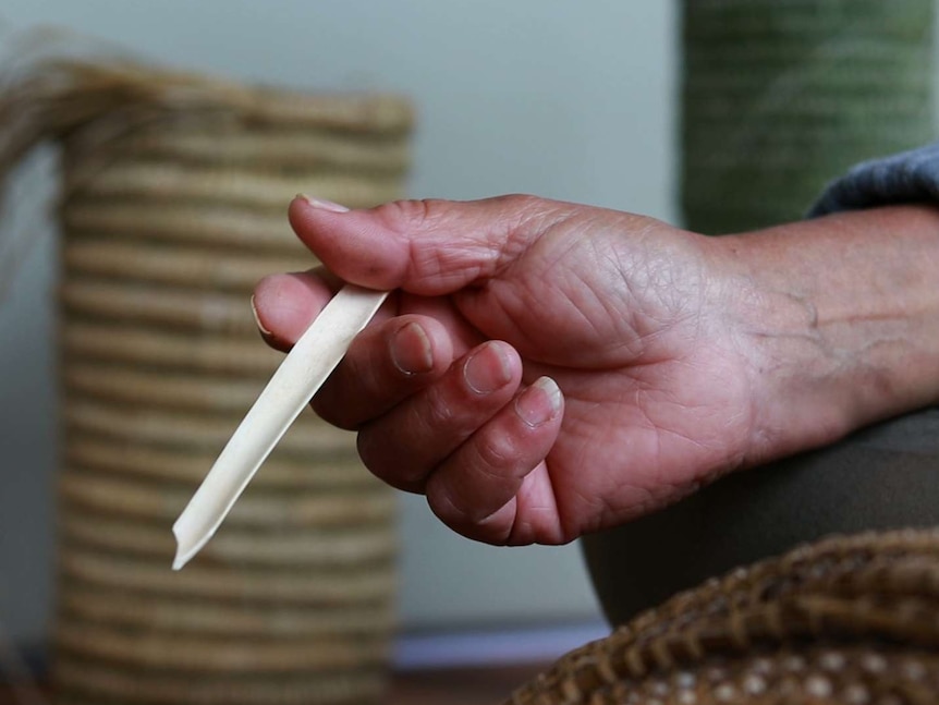 Close up of a hand holding a kangaroo leg bone