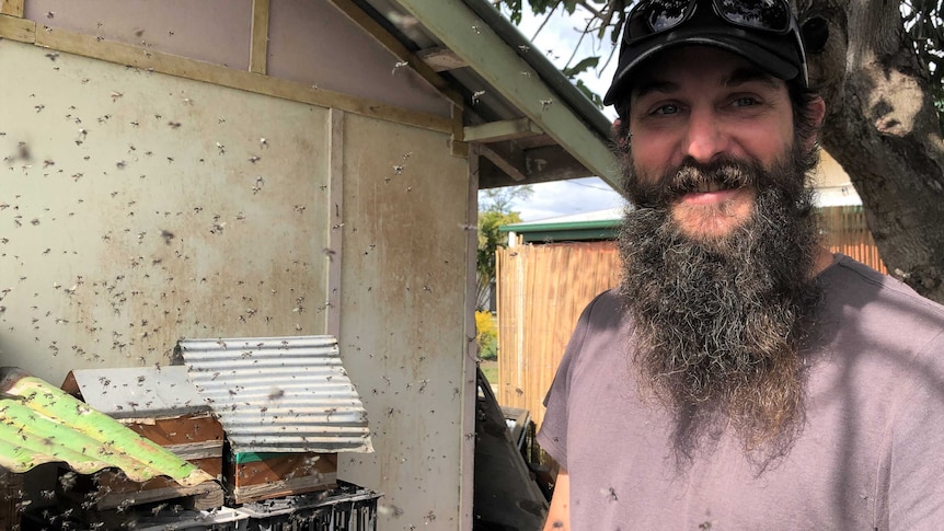Beekeeper Kai Gerschau stands surrounded by flying native bees