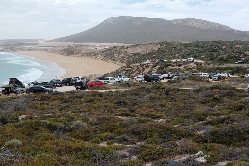 Beach scene showing lots of car parked on clifftop overlooking yellow-sanded beach with tree covered hill in the background.
