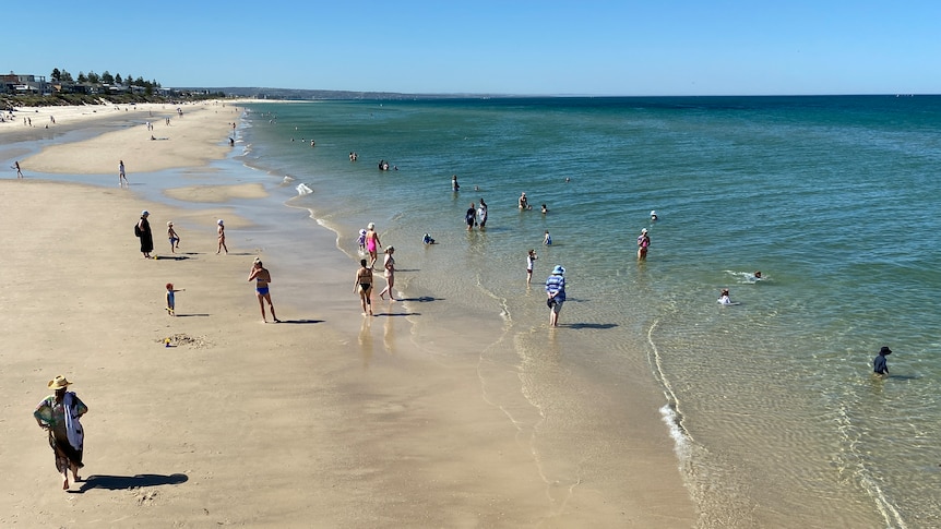 People swimming at Henley Beach in Adelaide on a hot day.