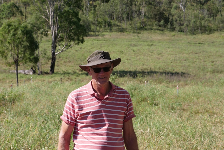 A man stands on his cattle property. 