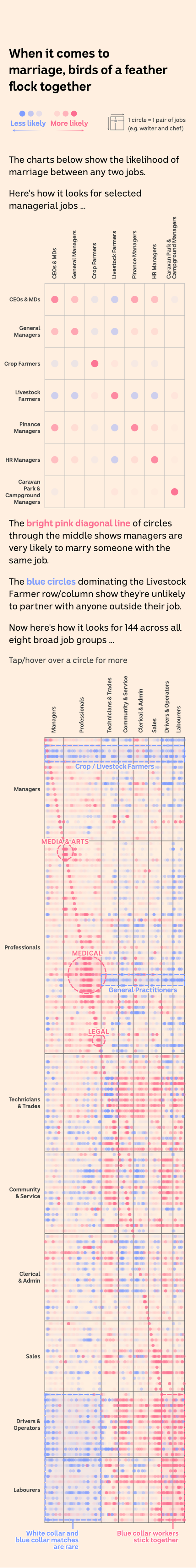 A heatmap chart shows that professionals in medicine, law, and media marry within their occupation