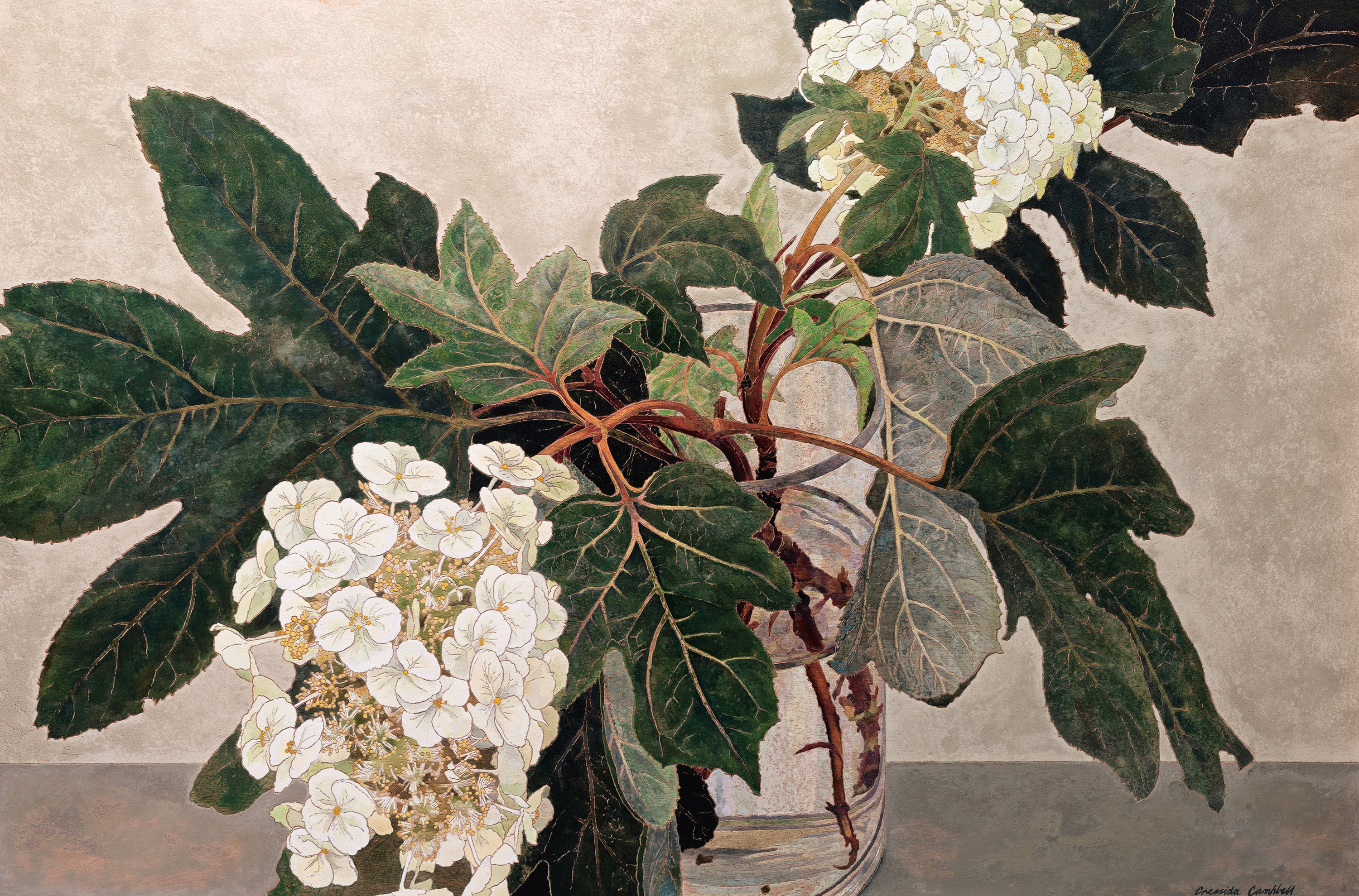 A painting of Japanese hydrangeas, a small white flower growing in clusters on a vine, in a jar of water