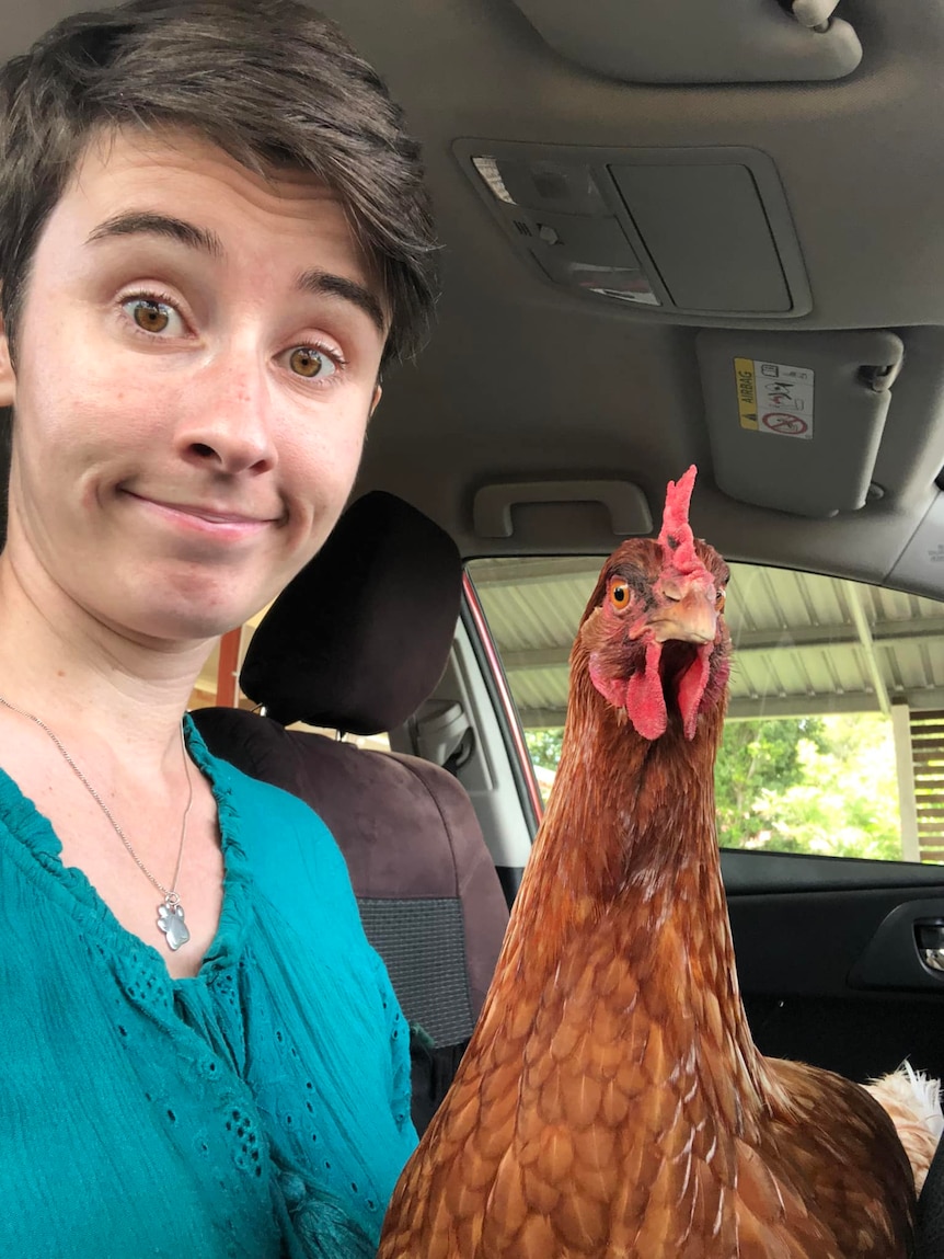 A red hen sits on woman's lap in a car, both posing for the camera. 