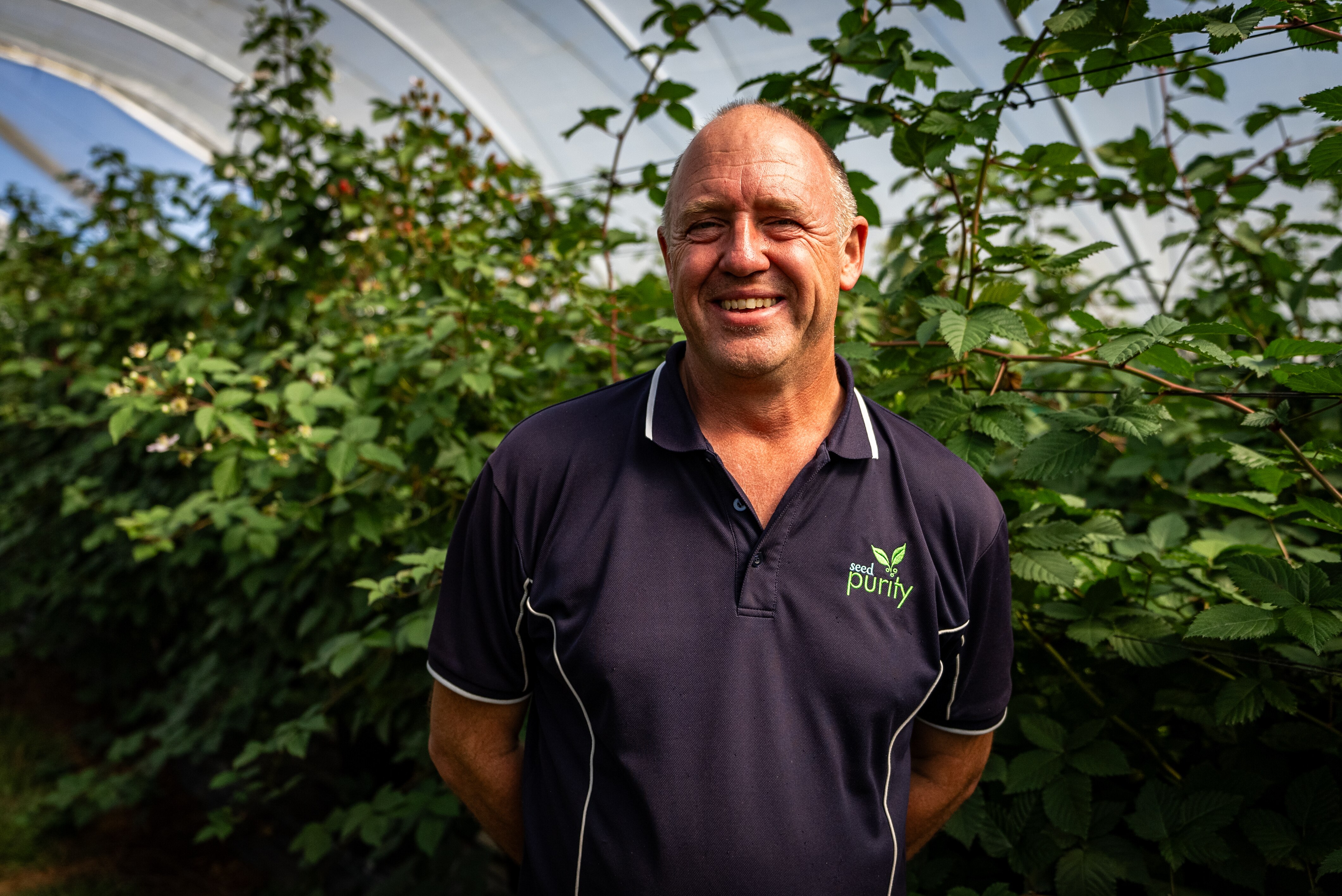 Flower Fly Pollination Could Alleviate Australia's Reliance On Honey ...