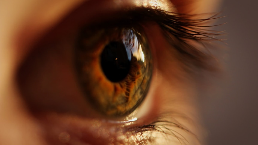 A close up photo of a brown-green human eye