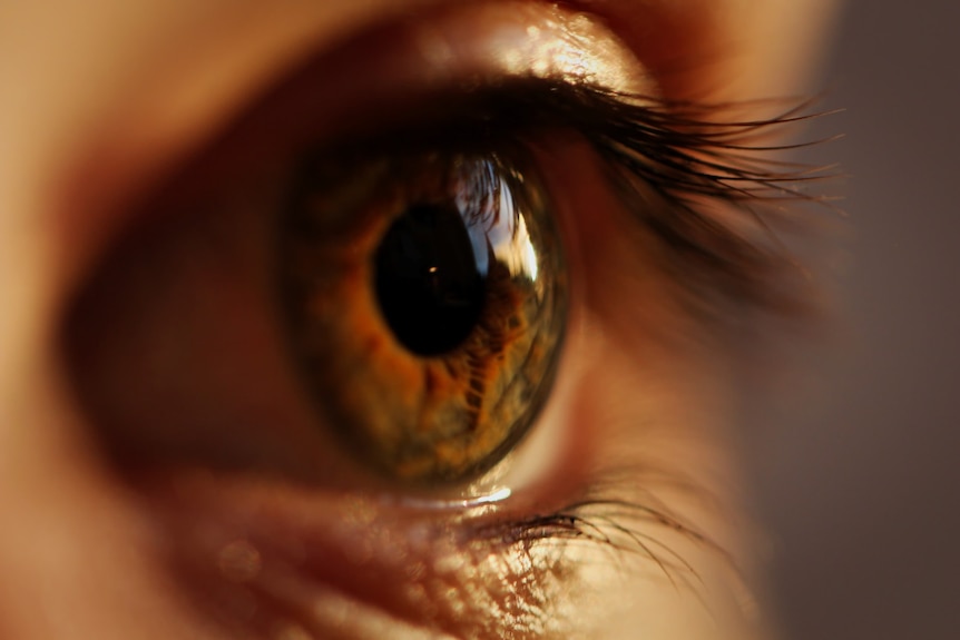 A close up photo of a brown-green human eye