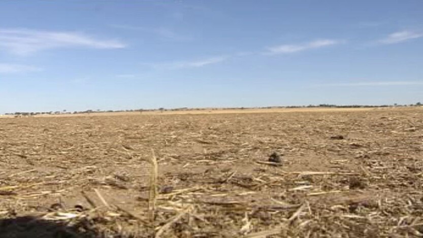 Farmers struggling with years of drought
