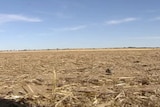 Farmers struggling with years of drought