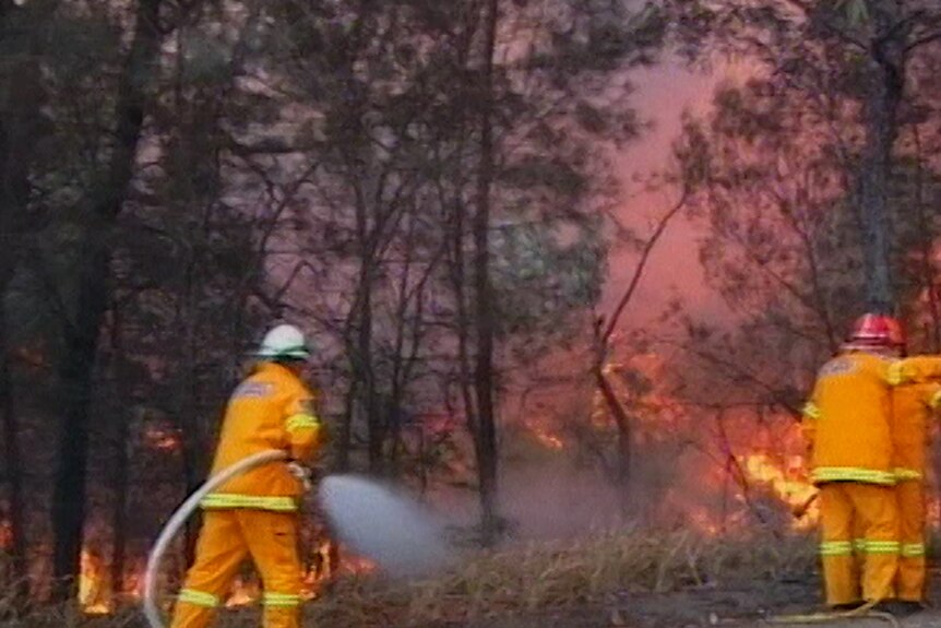 Two firefighters hose down a fire in vegetation