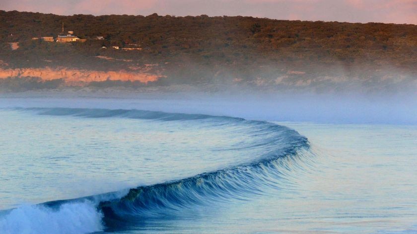 CSIRO's study reveals if just 10 per cent of generated wave energy was harnessed, it would meet half of the nation's current electricity needs.