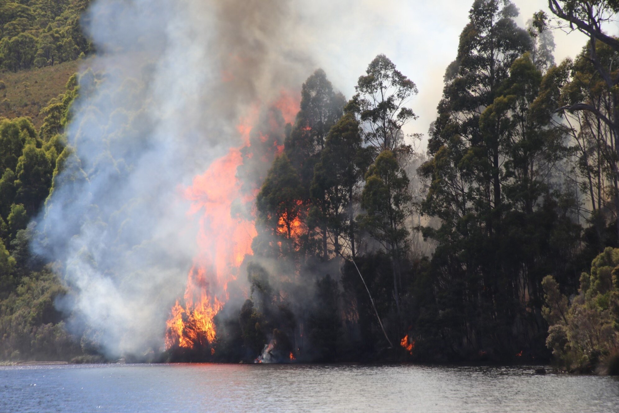 Mackintosh Dam Road bushfire in Tasmania's west has…