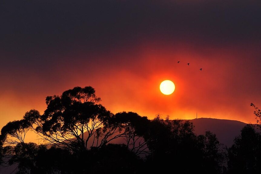 Sky over Mt Wellington while bushfires rage