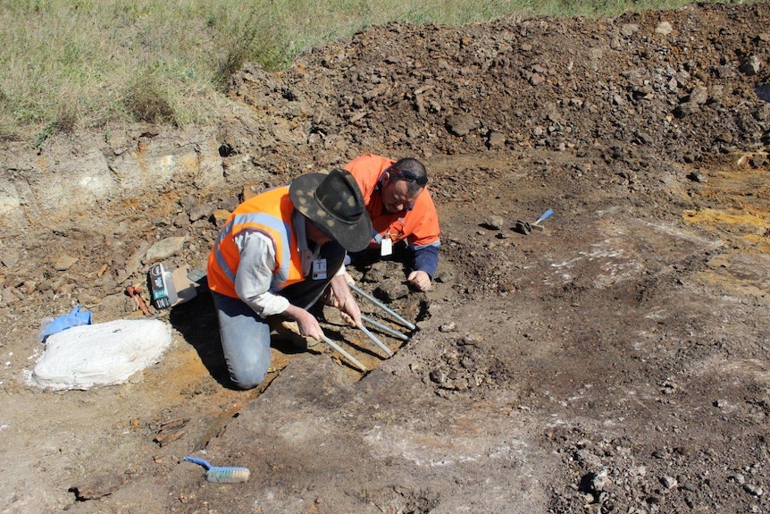 Researchers digging for turtle fossils in an oil shale mine near Gladstone in central Queensland.