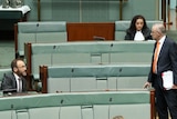 Anthony Albanese and Adam Bandt speak in the House of Representative.
