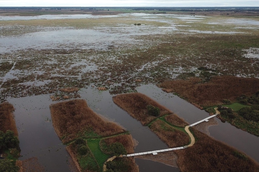 an expansive wetlands with a winding foot bridge in south eastern SA