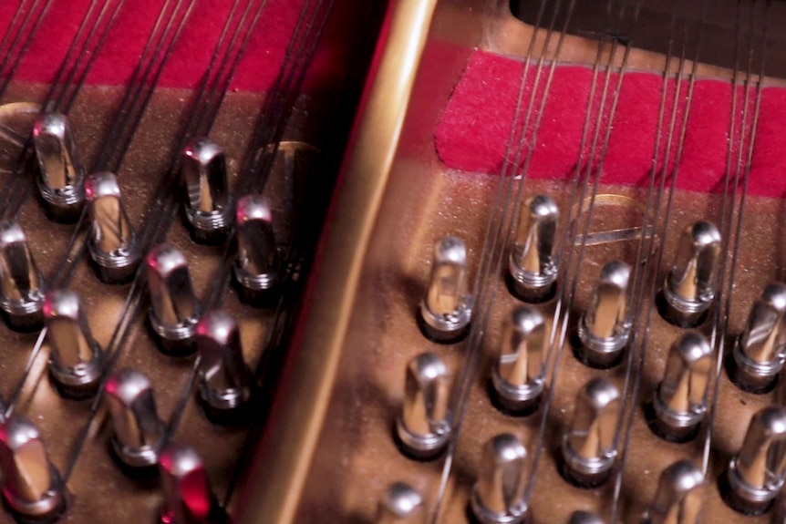 Piano strings connected to pins showing three strings per note.