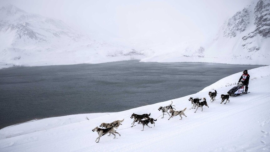 Elevated view of a musher and his dog sled team racing along a snow-covered track past a lake in the mountains.