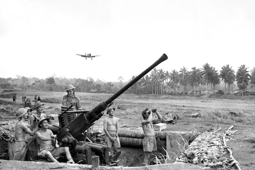 Anti-aircraft gun in Papua