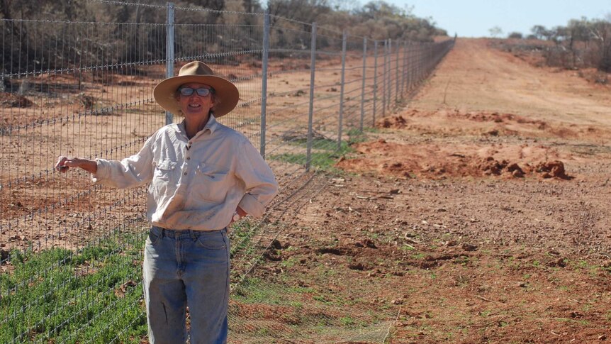 A woman stands beside a long tall wire fence in red soil of south western queensland