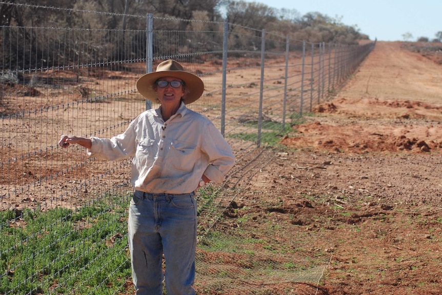 A woman stands beside a long tall wire fence in red soil of south western queensland