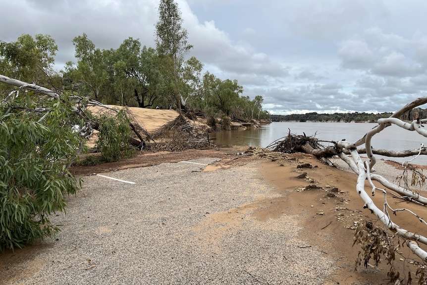 a white tree trunk lies beside a broken road and a brown river