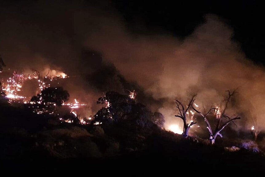 A fire burning in trees and bushes during the night.