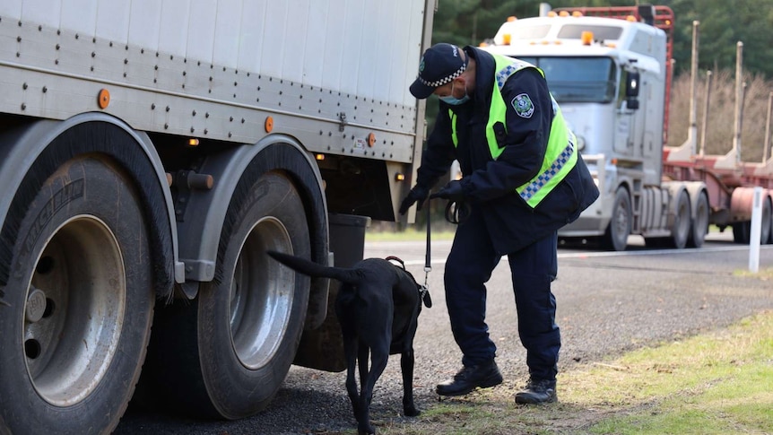 A police officer looks at the back of a truck on the side of a road