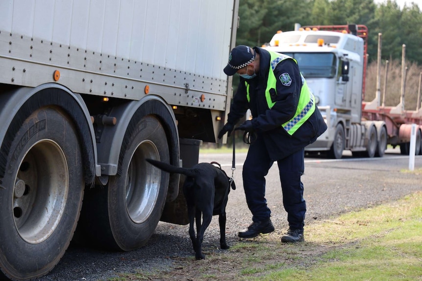 A police officer looks at the back of a truck on the side of a road